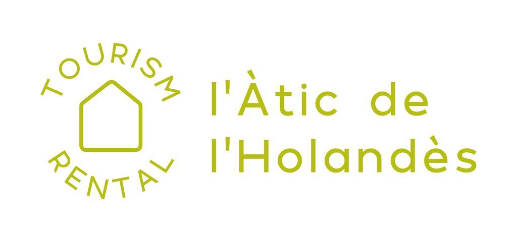 Atico Del Holandes Apartment Balaguer